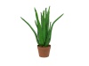 Aloe-Vera-Pflanze, Kunstpflanze, 63cm