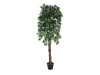 Ficus-Benjamini Multi-Stamm 1488Bl.180cm