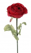 Rose Diana rot 75cm