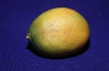 Zitrone, 6 cm Querdurchmesser