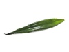 Aloeblatt (EVA), künstlich, grün, 60cm