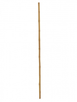 Bambusrohr, =8cm, 200cm