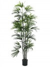 EUROPALMS Fächerpalm-Setzling, Kunstpflanze, 150cm