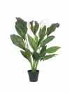 Spathiphyllum deluxe, künstlich, 83cm