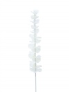 Kristalleukalyptus, Kunstpflanze, weiß, 81cm 12x